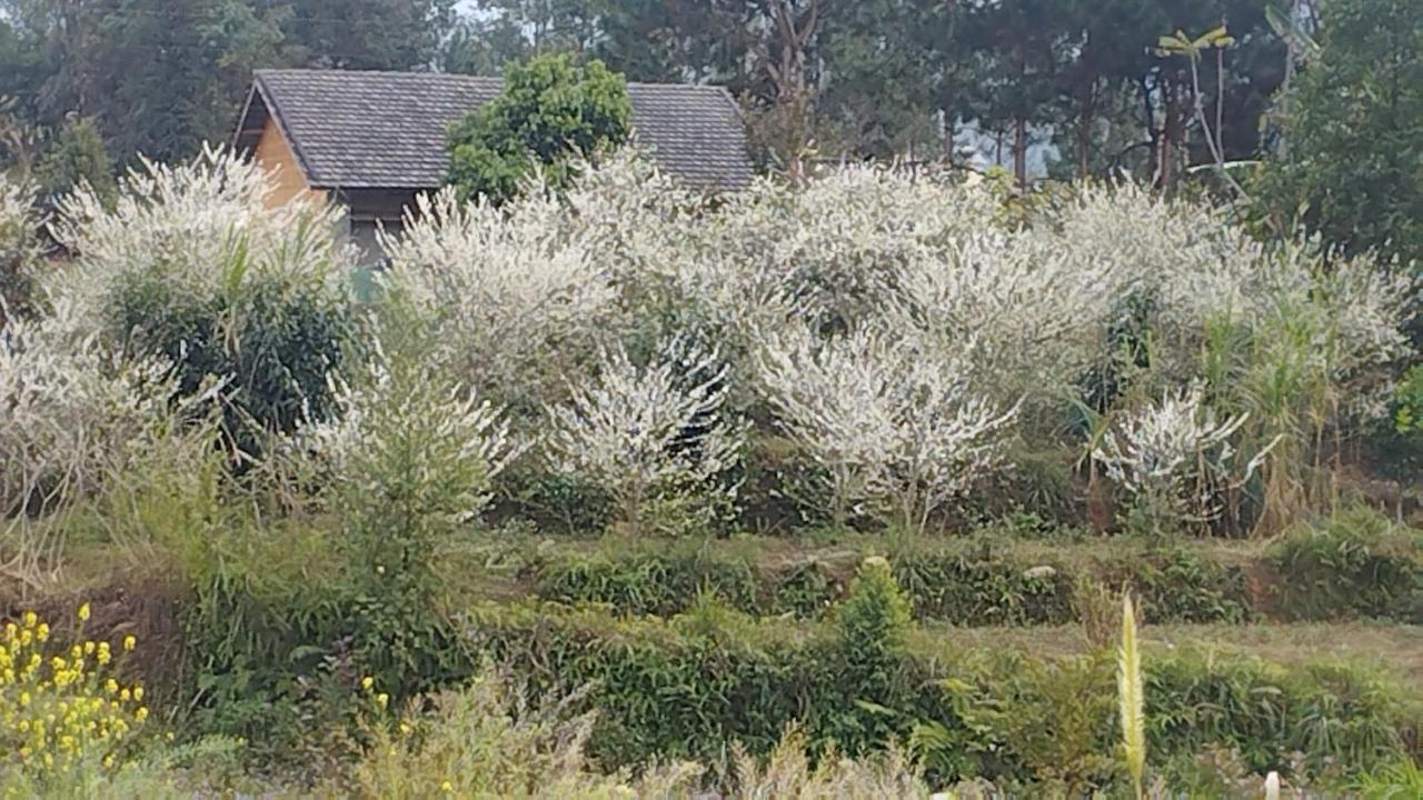 Huy Man Homestay Ha Giang Esterno foto