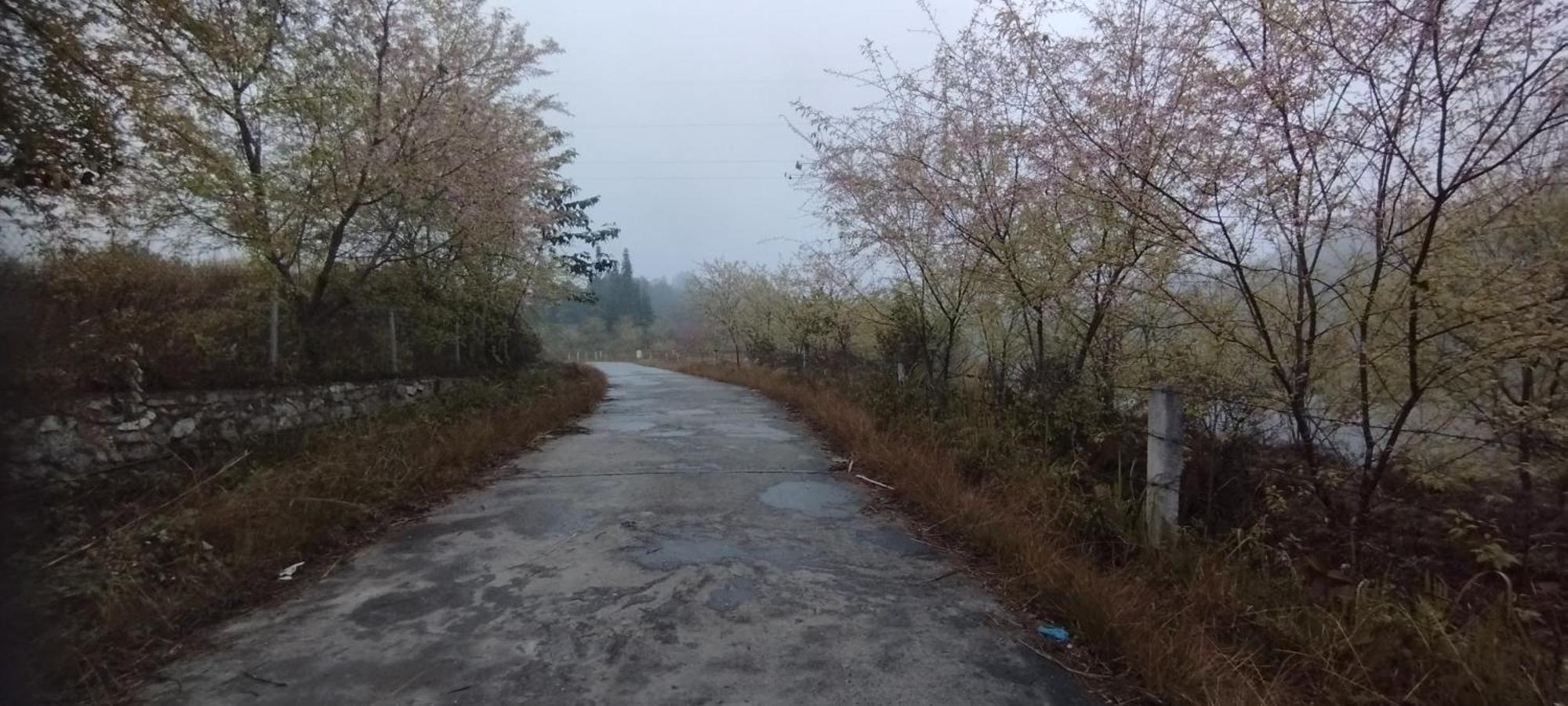 Huy Man Homestay Ha Giang Esterno foto
