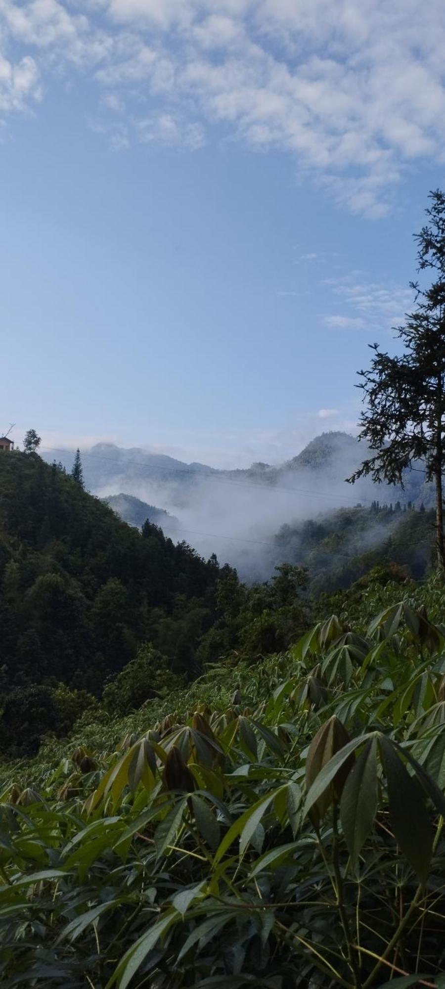 Huy Man Homestay Ha Giang Esterno foto