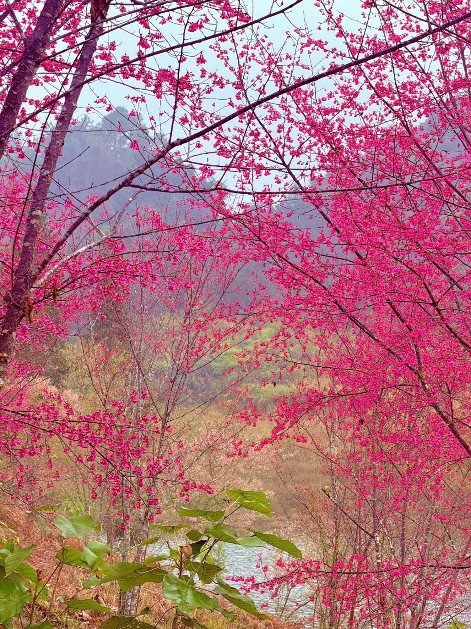 Huy Man Homestay Ha Giang Esterno foto